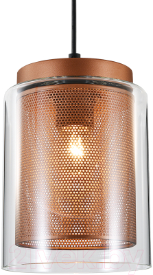 Потолочный светильник Indigo Light Alleanza V000505