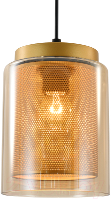 Потолочный светильник Indigo Light Alleanza V000506