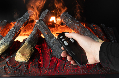 Электрокамин Royal Flame Design L560RF 3D LOG