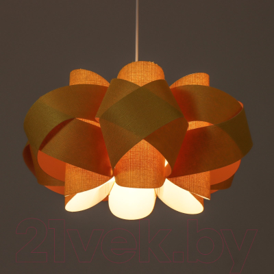 Потолочный светильник BayerLux Трейси / 9269440