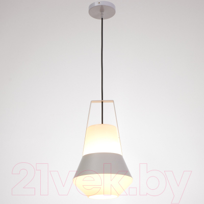 Потолочный светильник BayerLux 6384175