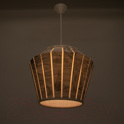 Потолочный светильник BayerLux 6031254