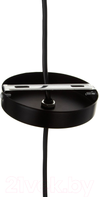 Потолочный светильник BayerLux Ротанг / 7813725