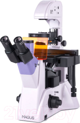 Микроскоп оптический Magus Lum V500 / 82908 - фото