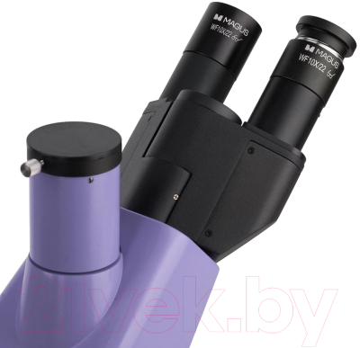 Микроскоп цифровой Magus Bio VD300 / 83012