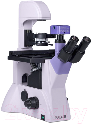 Микроскоп цифровой Magus Bio VD350 / 83014