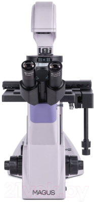 Микроскоп цифровой Magus Bio VD350 / 83014