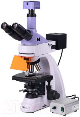 Микроскоп цифровой Magus Lum D400L / 83018