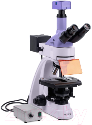 Микроскоп цифровой Magus Lum D400L / 83018