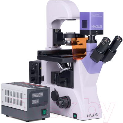 Микроскоп цифровой Magus Lum VD500 / 83020