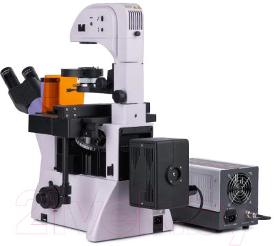 Микроскоп цифровой Magus Lum VD500 / 83020