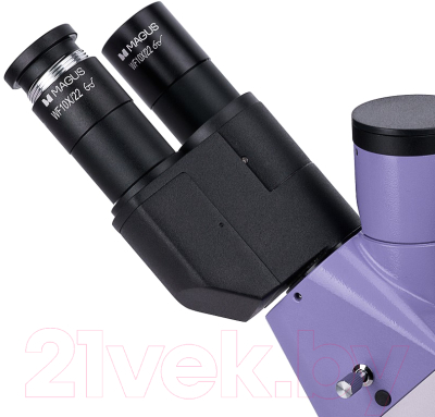 Микроскоп цифровой Magus Lum VD500L / 83022