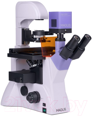 Микроскоп цифровой Magus Lum VD500L / 83022
