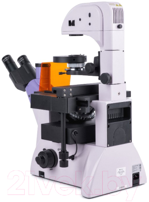 Микроскоп цифровой Magus Lum VD500L / 83022