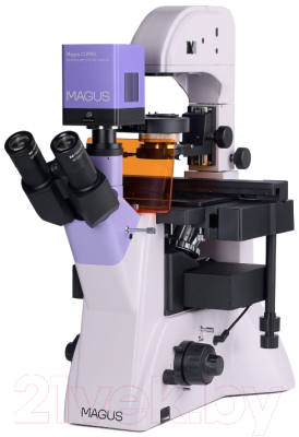 Микроскоп цифровой Magus Lum VD500L / 83022
