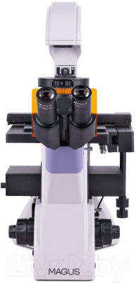 Микроскоп цифровой Magus Lum VD500L / 83022