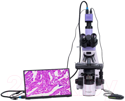 Микроскоп цифровой Magus Bio D250T LCD / 83009
