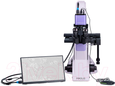 Микроскоп цифровой Magus Bio VD350 LCD / 83015