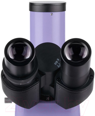 Микроскоп цифровой Magus Lum D400 LCD / 83017