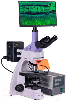 Микроскоп цифровой Magus Lum D400 LCD / 83017