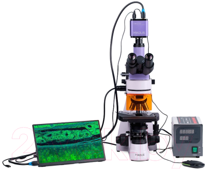 Микроскоп цифровой Magus Lum D400 LCD / 83017