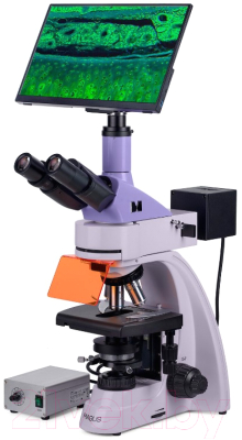 Микроскоп цифровой Magus Lum D400L LCD / 83019