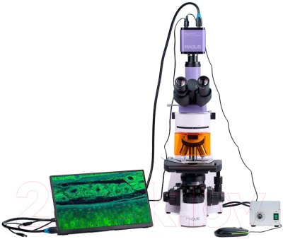 Микроскоп цифровой Magus Lum D400L LCD / 83019
