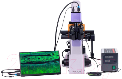 Микроскоп цифровой Magus Lum VD500 LCD / 83021