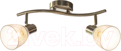 Потолочный светильник Aitin-Pro НПБ 02-2x60-102 / 51867/2 - фото