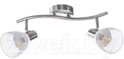 Потолочный светильник Aitin-Pro НПБ 02-2x60-102 / 51867/2