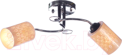 Потолочный светильник Aitin-Pro НПБ 02-2x60-101 / 70180/2 - фото