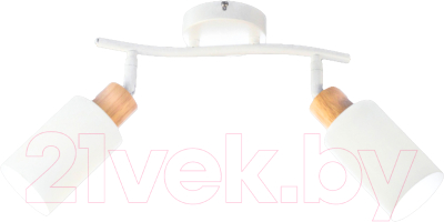 Спот Aitin-Pro НПБ 02-2x40-102 / DA6127/2 - фото