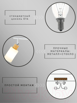 Спот Aitin-Pro НПБ 02-2x40-102 / DA6127/2