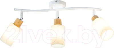 Спот Aitin-Pro НПБ 02-3x40-102 / DA6127/3 - фото