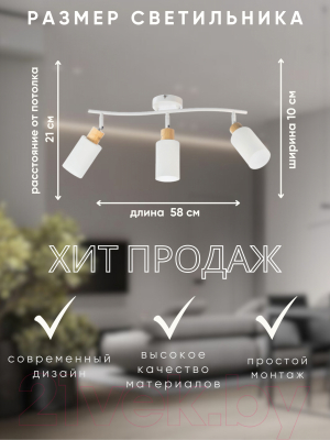 Спот Aitin-Pro НПБ 02-3x40-102 / DA6127/3