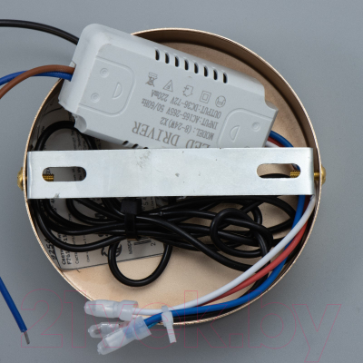 Потолочный светильник BayerLux Джасо / 9254674