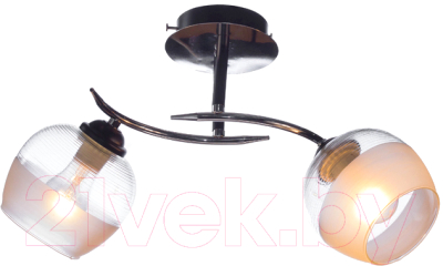 Потолочный светильник Aitin-Pro НПБ 02-2x60-101 / 70162/2 - фото