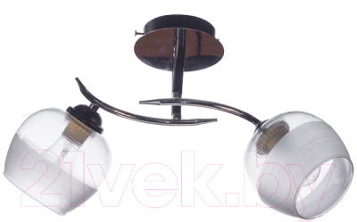Потолочный светильник Aitin-Pro НПБ 02-2x60-101 / 70162/2