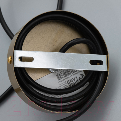 Потолочный светильник BayerLux Джеффи / 9254681