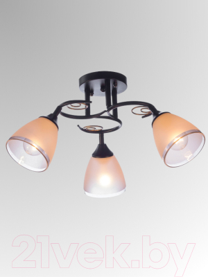 Люстра Aitin-Pro НПБ 02-3x60-101 / 70140/3