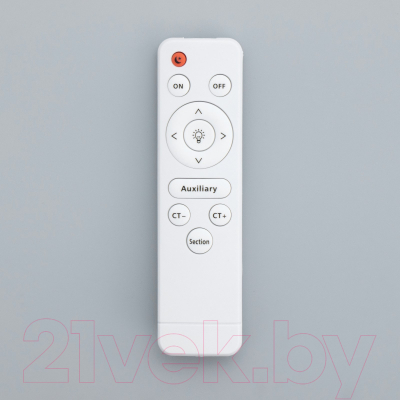 Потолочный светильник BayerLux Дзета / 9380662