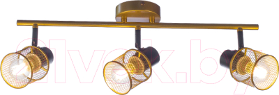 Потолочный светильник Aitin-Pro НПБ 02-3x60-102 / 51988/3 - фото