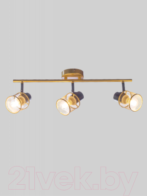 Потолочный светильник Aitin-Pro НПБ 02-3x60-102 / 51988/3