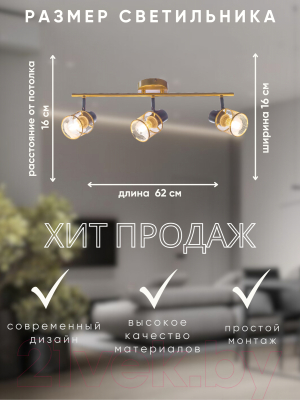 Потолочный светильник Aitin-Pro НПБ 02-3x60-102 / 51988/3