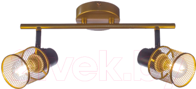 Потолочный светильник Aitin-Pro НПБ 02-2x60-102 / 51988/2 - фото