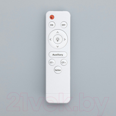 Потолочный светильник BayerLux Дзета / 9380663