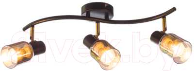 Люстра Aitin-Pro НПБ 02-3x60-102 / 51976/3 - фото