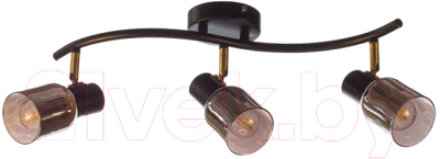 Люстра Aitin-Pro НПБ 02-3x60-102 / 51976/3