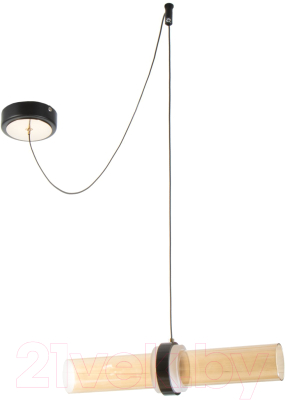 Потолочный светильник BayerLux Дэлли / 9254643 - фото