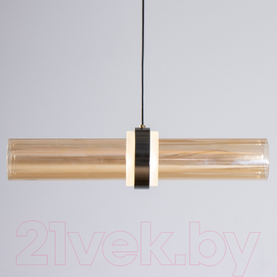 Потолочный светильник BayerLux Дэлли / 9254643